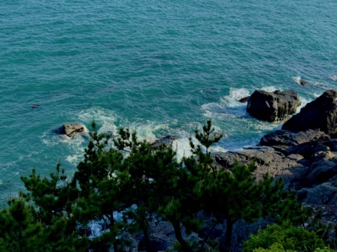 busan_ocean